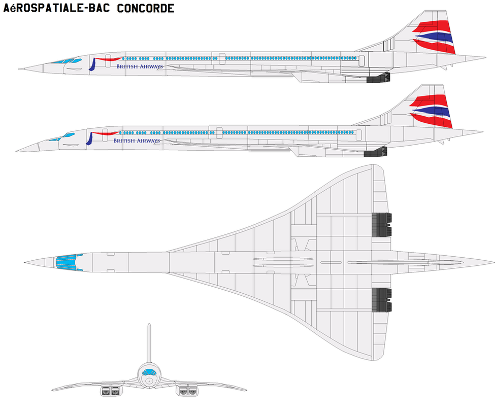 Concorde delta wing with ogee leading edge