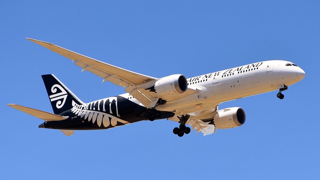 Air New Zealand Skynest.