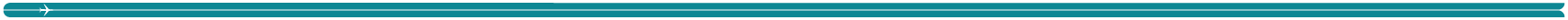 Section Divider