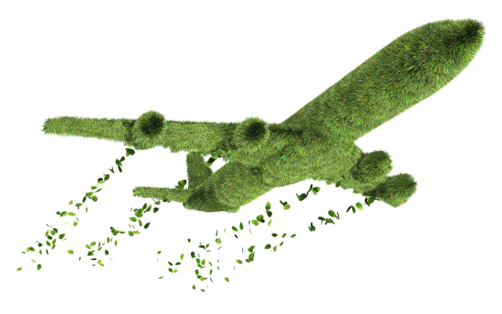 The Future of Sustainable Aviation.