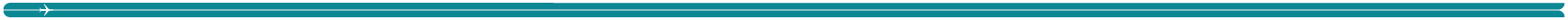 Section divider