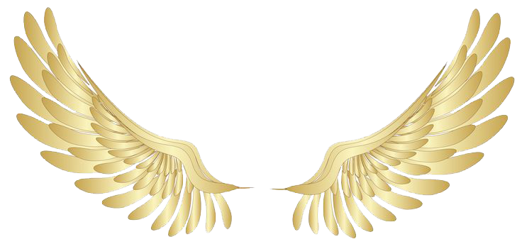 Biomimicry and the shape of a wing.